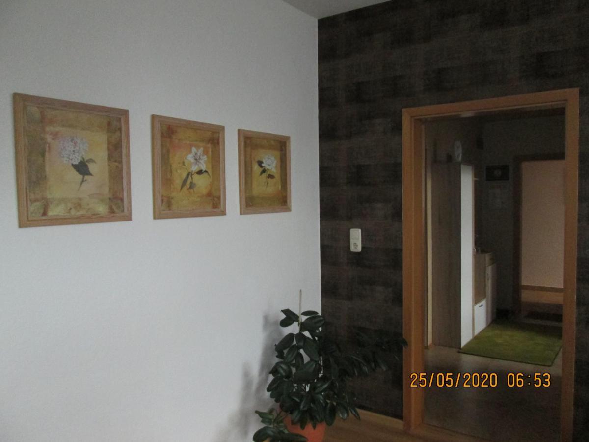 Zentrale-Ruhige Ferienwohnung Reichenbach im Vogtland Ngoại thất bức ảnh