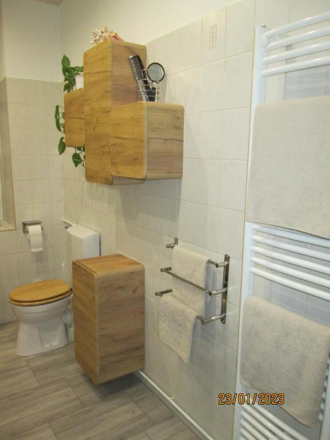 Zentrale-Ruhige Ferienwohnung Reichenbach im Vogtland Ngoại thất bức ảnh